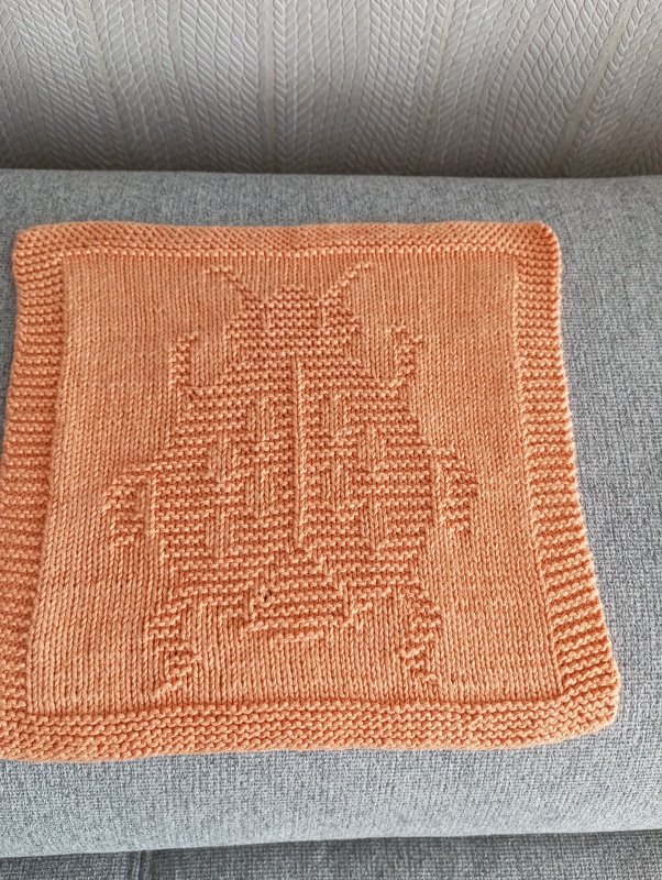 Marienkäfer Spültuch Deckchen Lappen „ Mutschekiepchen “ Strickanleitung