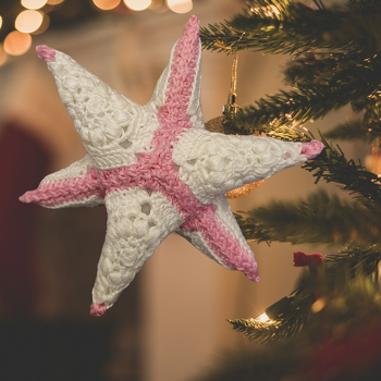 Anleitung von die maschendomteurin 🫶🏼😍