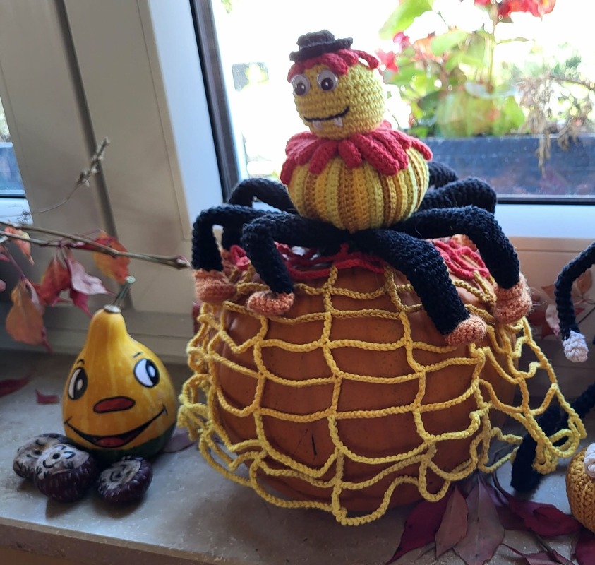 Vampi die Kürbisspinne