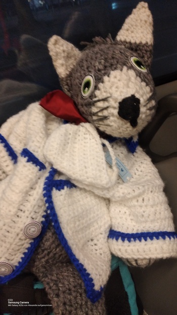 AIP ler Dr. TOM CAT... gerade 