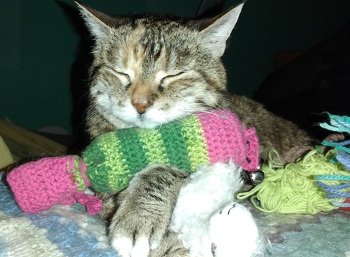 Mein Kätzchen liebt ihr Häkel Catnip Toy 🤓
#häkeln