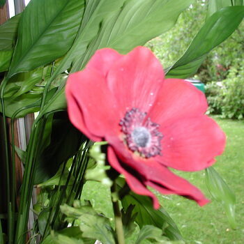 Handarbeiten Werke - Foto von ingeborg-schumacher1