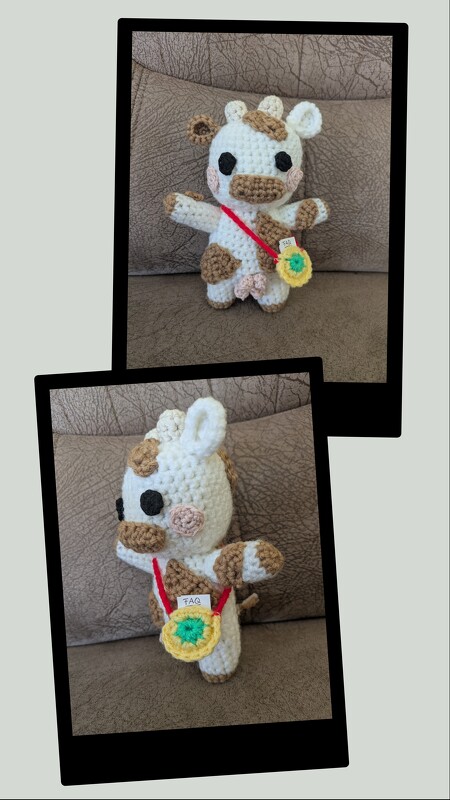 Handarbeiten Werke - Foto von Anjagurami