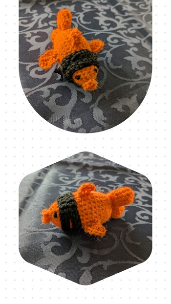 Fred, der Ninjagoldfisch