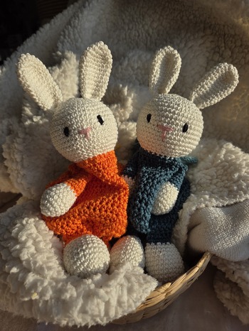 Eine super Anleitung! Reich bebildert, gut geschrieben, alles prima erklärt, super nachzuarbeiten! Absolut klasse Geschenk! #Ostern #Osterhase