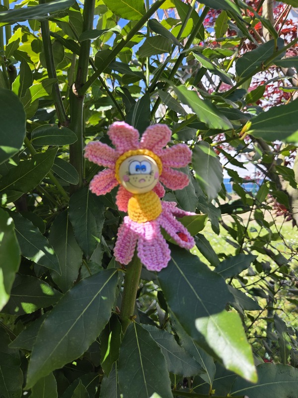 freche Blümchen: Gänseblümchen &amp; Co für Holzkugeln in 2 Größen