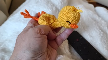 Kleine Ente