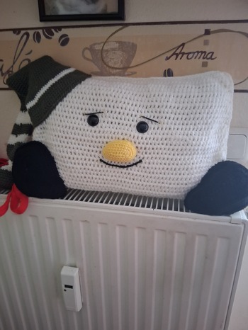 Hat sehr viel Spaß gemacht. Das nächste Kissen ist in Arbeit.