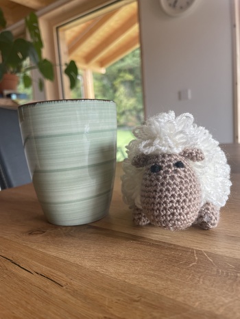 Handarbeiten Werke - Foto von claudia-schoenbaechler