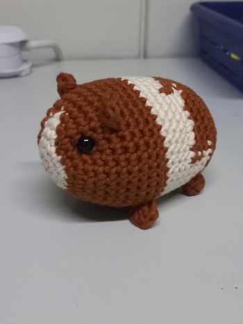 Auf besonderen Wunsch für meine Nichte zum Geburtstag
Die Anleitung ist gut verständlich, auch für weniger geübte Figurenhäkler.😏 Ich konnte dem gut folgen. Die Ohren waren wirklich Step-by-Step, bei den Pfoten ging's dann schon leichter. Bei dem Farbwechsel hab ich etwas variiert. Ich werde es nochmal häkeln um es "besser" zu machen. Gehäkelt hab ich mit Baumwolle 8/8 damit es nicht zu klein wurde. So ist es ca. 10cm lang und ca. 7cm hoch.🙂
#MeerschweinchenMina