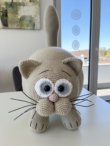 Tolle Anleitung für die Fad Cat