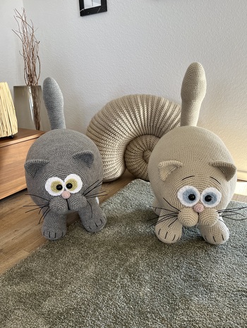 Meine Fat Cat hat Gesellschaft bekommen.
