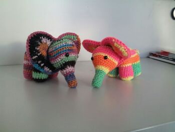 Hier noch ein paar Streifen-Eli