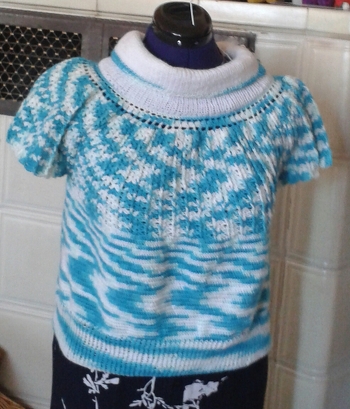 Habe einen Pullunder daraus gemacht