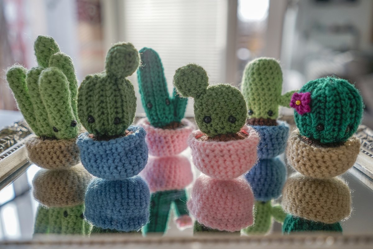 Crochet Pattern Cactus Garden