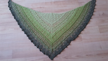 Hallo, dies ist ein abgewandeltes Edlothia. Wolle: Woolly Hugs, Farbe 25, 800 m.