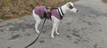 Es hat super geklappt - der Mantel passt perfekt.