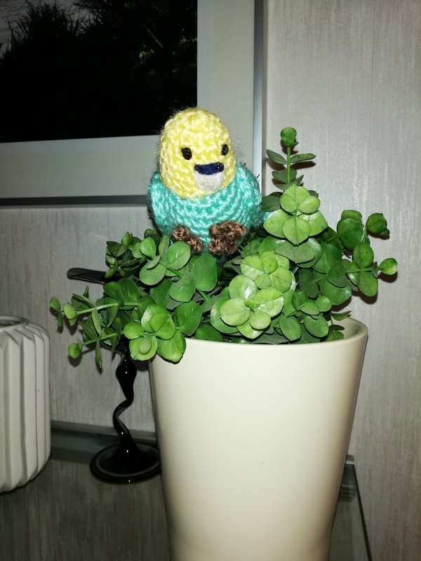 Häkelanleitung Wellensittich