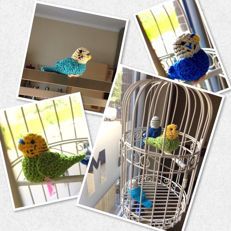 Häkelanleitung Wellensittich