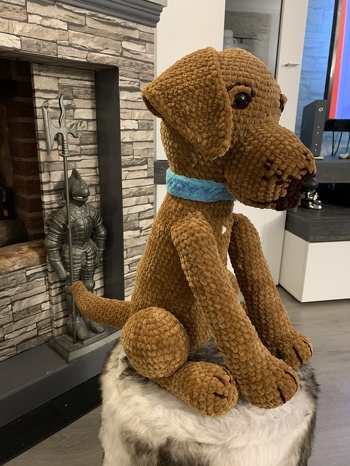 Super Anleitung, hat wunderbar geklappt, habe den Hund mit Himalaya Dolphin Babywolle gehäkelt, Nadelstärke 5