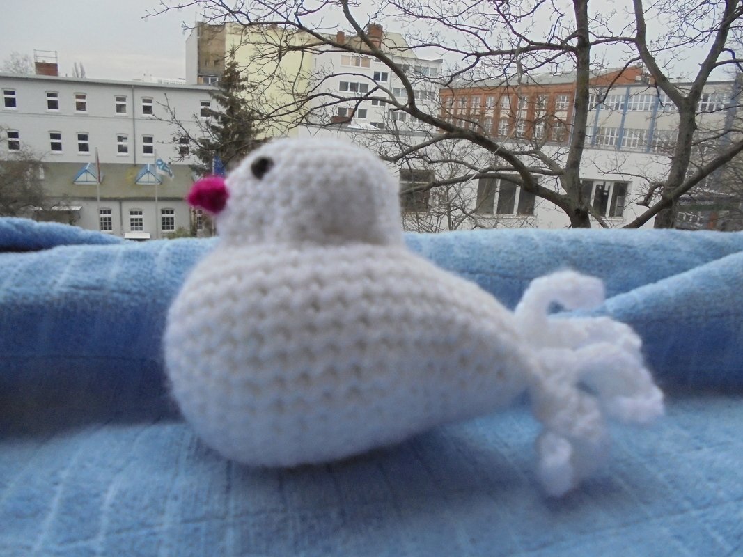 Häkelanleitung Singvögel