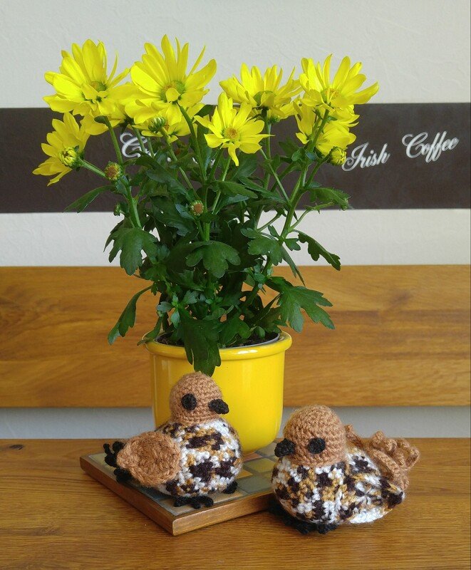 Häkelanleitung Singvögel