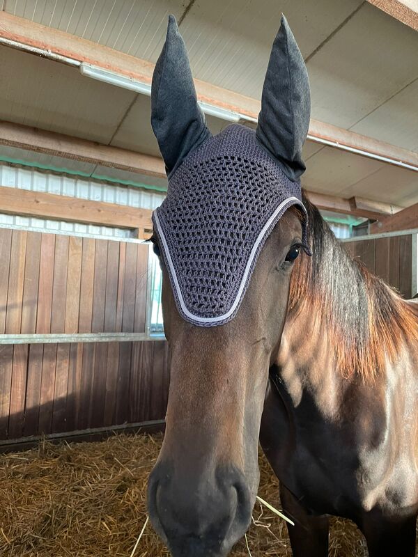 Häkelanleitung Fliegenmütze / Ohrenhaube für Pferd oder Ponny 