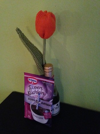 Tolle Anleitung! War sehr gut nachzustricken!