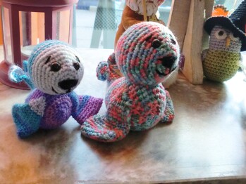 Robbe Rimi ist nicht mehr allein und wohnt jetzt mit Freund bei mir.