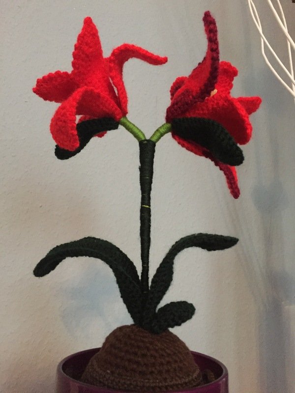 Amaryllis - Häkelanleitung