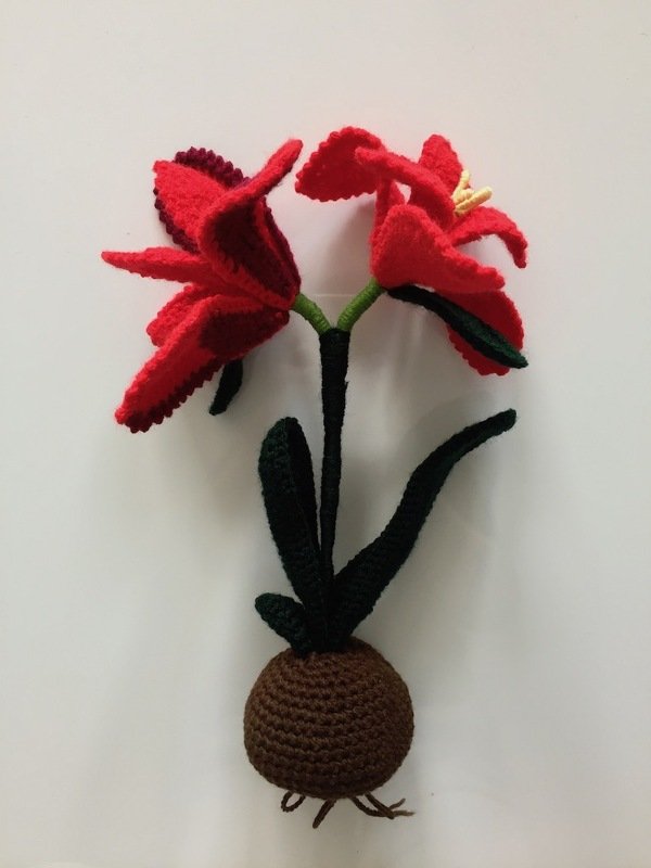 Amaryllis - Häkelanleitung