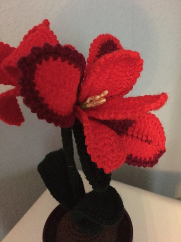 Amaryllis - Häkelanleitung