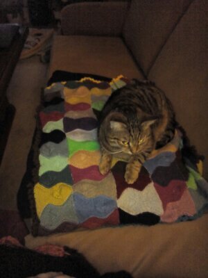 Meine kleine Herausforderung diese Fisch-Patchwork Decke wird von meinem Kätzchen sehr geliebt...
Es hat viel Zeit gekostet aber ich finde das hat sich gelohnt  