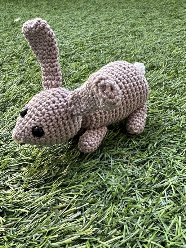 Hasenallerlei oder der schnelle Hase :-)