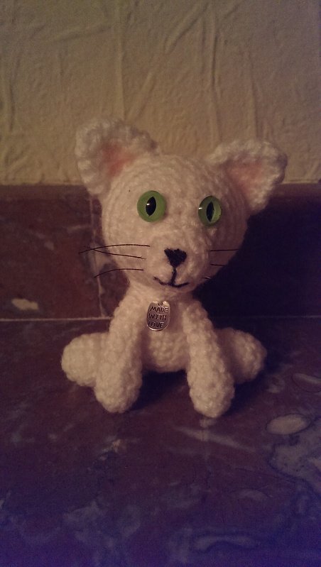 Katze / Blumenkatzen