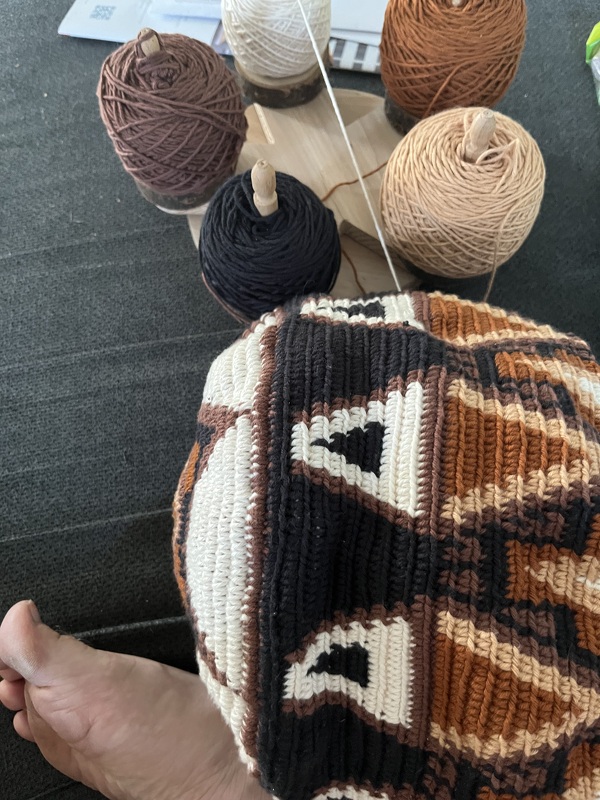 Wayùlia Tapestry häkeln, Mochila Umhängetasche Iguana