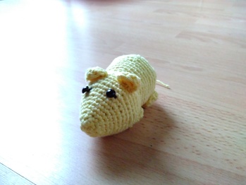 Mein Hamster ist eine Maus geworden