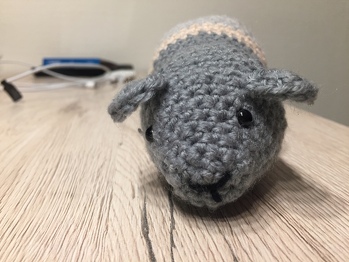 Da die Anleitung wirklich sehr verständlich und anfängerfreundlich geschrieben ist, ist mir der Nager schnell von der Nadel gehüpft 🤪 ich denke man kann es auch ein bisschen erkennen. Ich stelle mir vor,dass es ein kleines Meerschweinchen ist 🤭 vielen lieben Dank fürs Teilen!