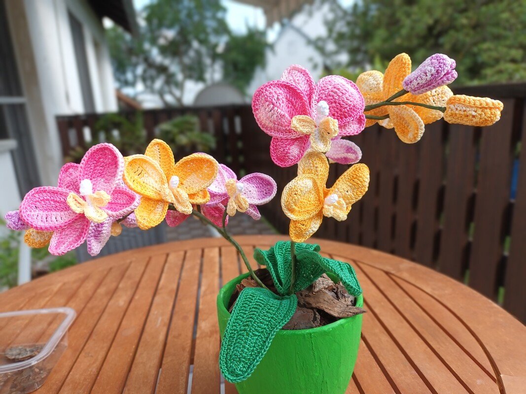 Blaue Schmetterlings Orchidee - Häkelanleitung