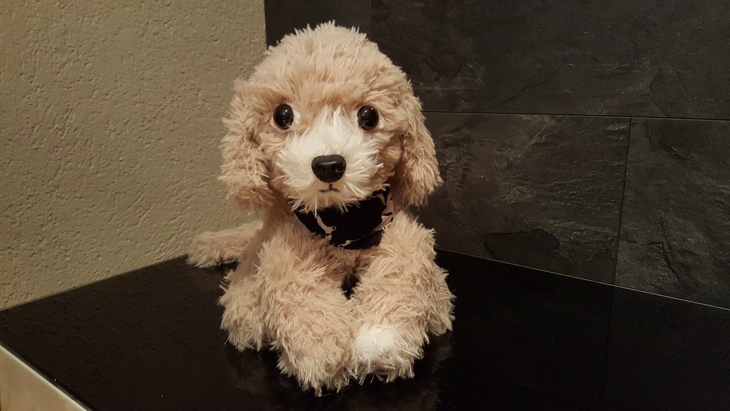 Strickanleitung für Tabby, ein süßes Hundchen, ca. 35 – 40 cm groß