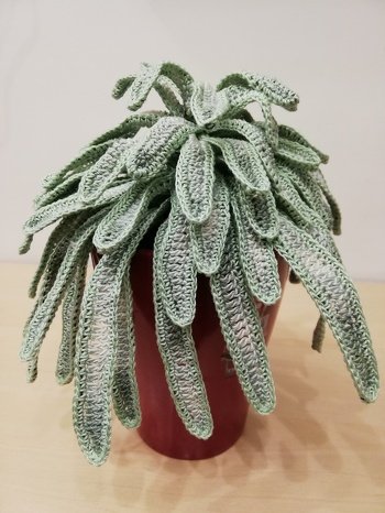 Ich habe einen Blumenstock und den Lavendel davon gemacht