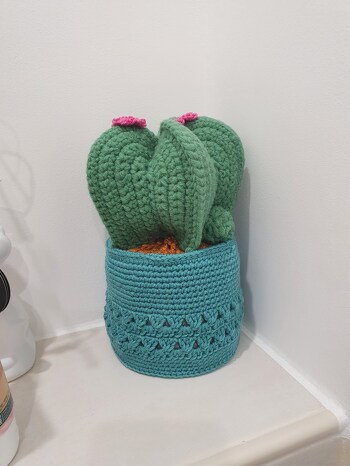 Er ist so cool geworden! Der Kaktus ist zwar etwas groß ausgefallen, wahrscheinlich durch die dicke Wolle, aber der Hut macht sich in meinem Bad super! Aus Platzmangel habe ich nur einen Ableger, dafür aber 2 Blüten gehäkelt!!!
Die Anleitung ist sehr gut verständlich und wenn man sich nicht sicher ist, helfen die vielen Bilder weiter :)
Alles in allem hat mir dieses Projekt viel Spaß gemacht!
