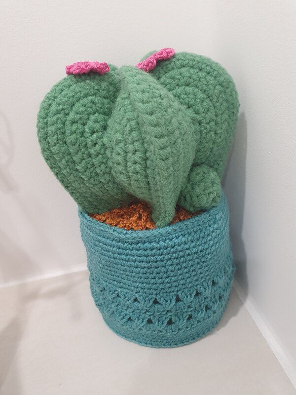 Klorollenhut Kaktus, Häkelanleitung