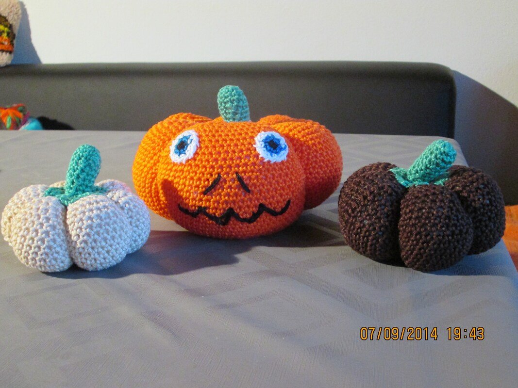 E-Book Kürbisse in vier verschiedenen Größen