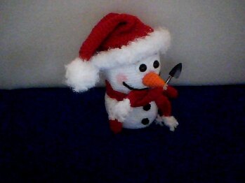 Der Schneemann hat sich sehr gut häkeln lassen, war etwas zeitaufwendig, weil man den Schneemann einmal farbig und einmal weiß häkeln musste.