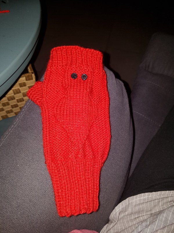 Eulenstulpen stricken