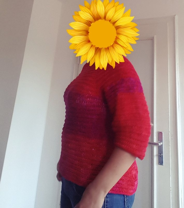 - CARA - Basicpullover alle Größen, ab 74 - Damen Plussize, Lieblingspullover zum WOLLfühlen, leicht anzupassen, unisex