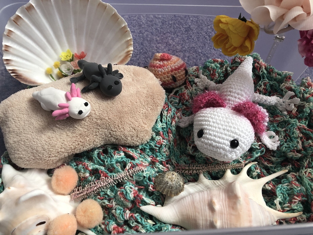 Axolotl, Häkelanleitung