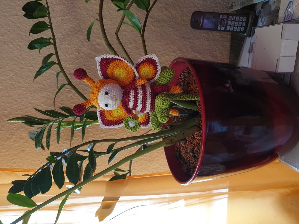 Glückbringer Schmetterling auf Herz Kleeblatt zum Muttertag Frühlingsdekoration Geschenk