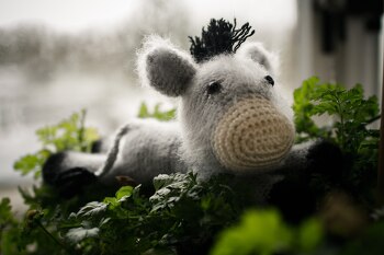 Tolle Anleitung, hat viel Spaß gemacht